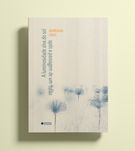 A luminosidade alva do sol após a passagem de um tufão – Adriana Ono